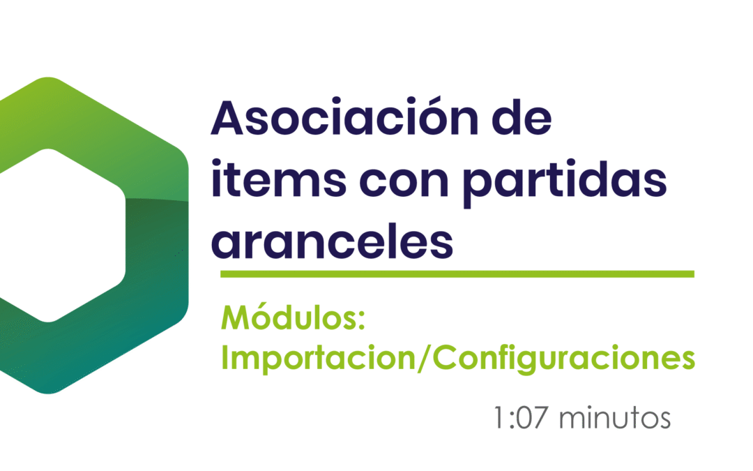 ¿Cómo asociar ítems a partidas arancelarias?
