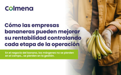 Cómo las empresas bananeras pueden mejorar su rentabilidad controlando cada etapa de la operación